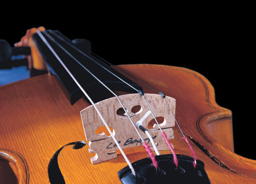 lr baggs violin pickup