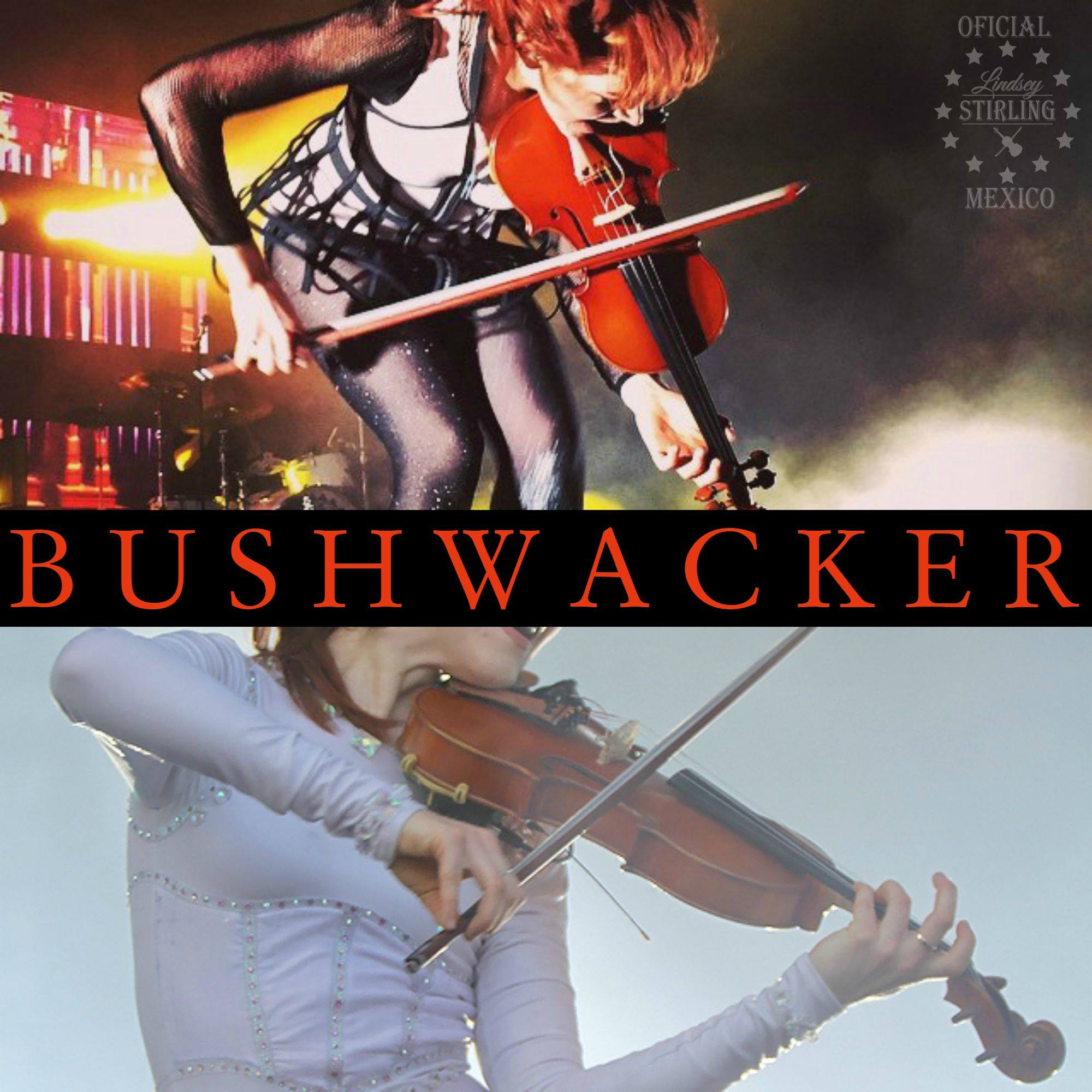 bushwacker